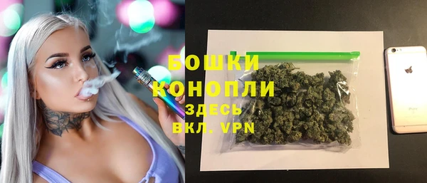 гидра Кулебаки