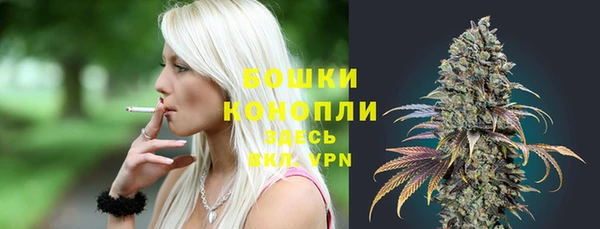 гидра Кулебаки