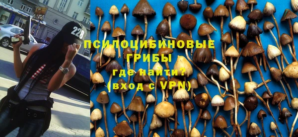 гидра Кулебаки