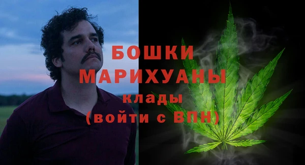гидра Кулебаки