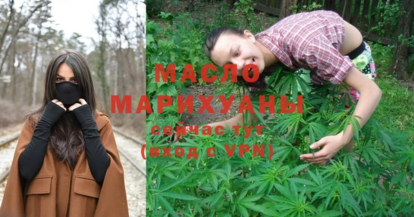 гидра Кулебаки