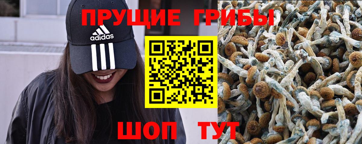 Семилуки  Псилоцибиновые грибы прущие грибы  Вход с VPN 