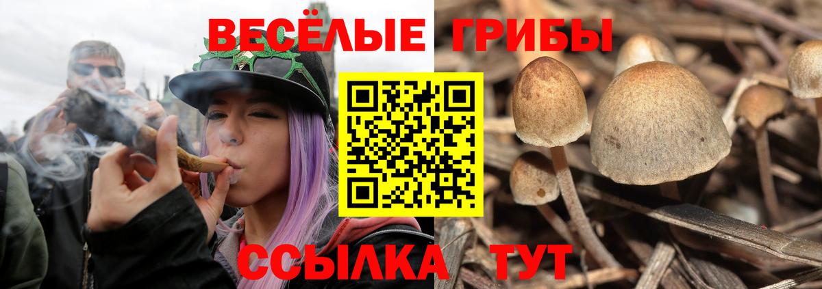 Галлюциногенные грибы GOLDEN TEACHER Семилуки